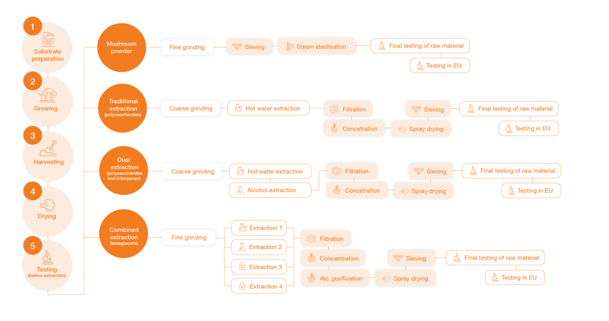 diagrama-extrakce-mycomedica-ro